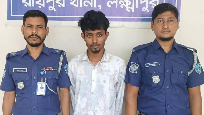 Jinsiy ayiq Yalangoch guruh kabinasi